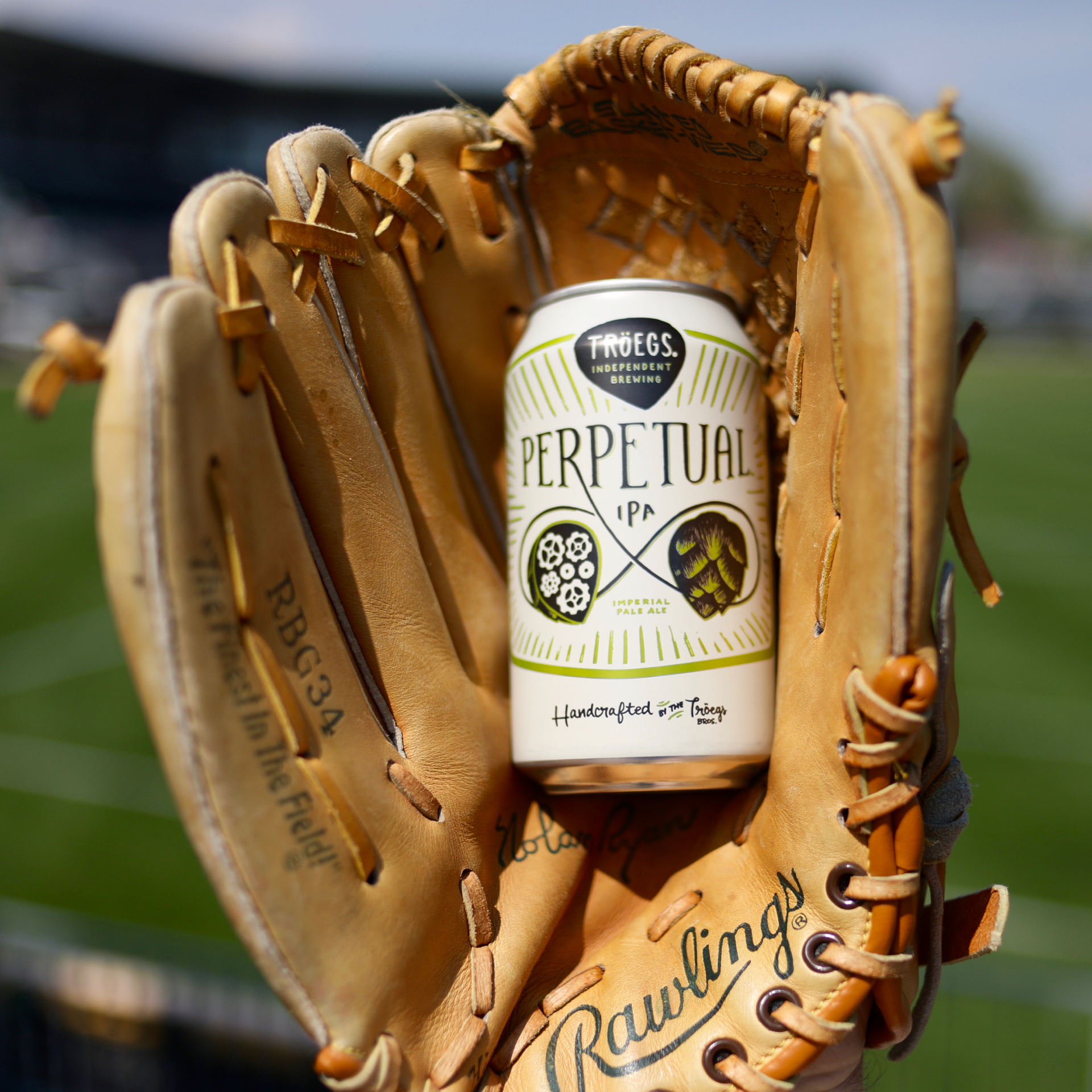 Photography - Baseball Glove w/ Perpetual 12oz Can - Tröegs Independent ...