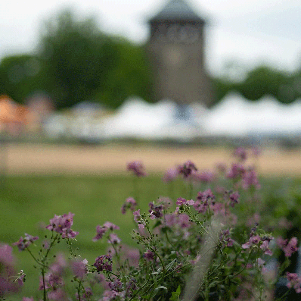Wilmington Flower Market